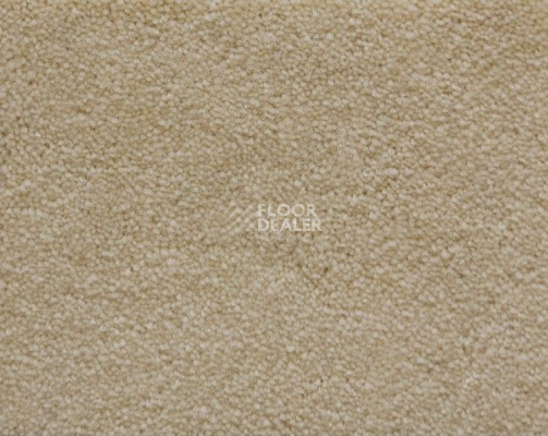 Ковролин Radici Lord Panna 124A фото 1 | FLOORDEALER